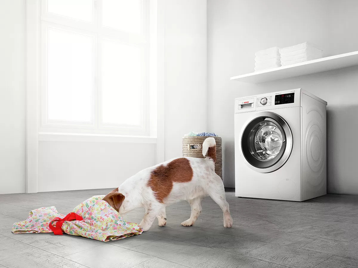 5 Reasons Why You Should Own a Bosch Washing Machine